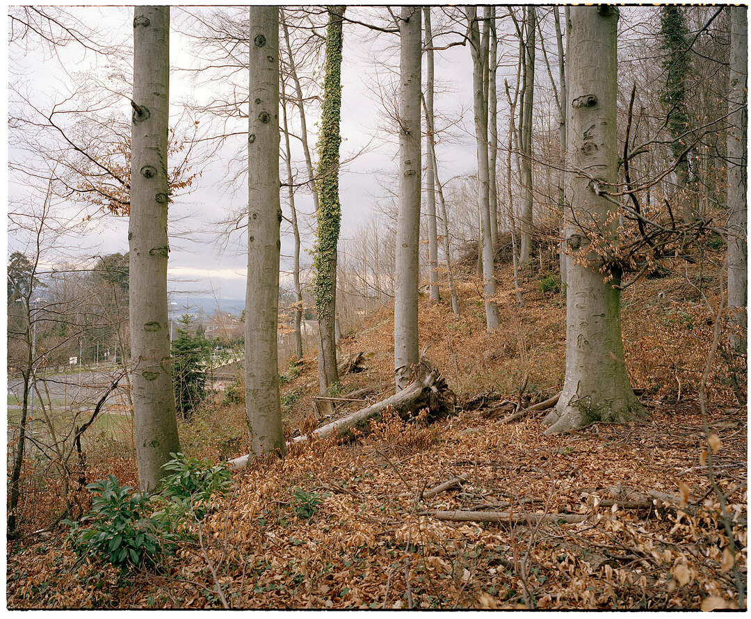 Archive image
